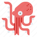 octopus, animal, ocean, sea, underwater, marine