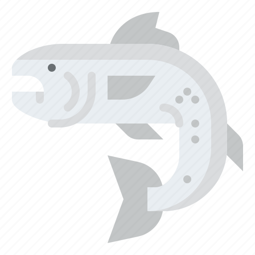 Salmon, fish, animal, ocean, sea, underwater, marine icon - Download on Iconfinder