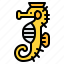 seahorse, animal, ocean, sea, underwater, marine