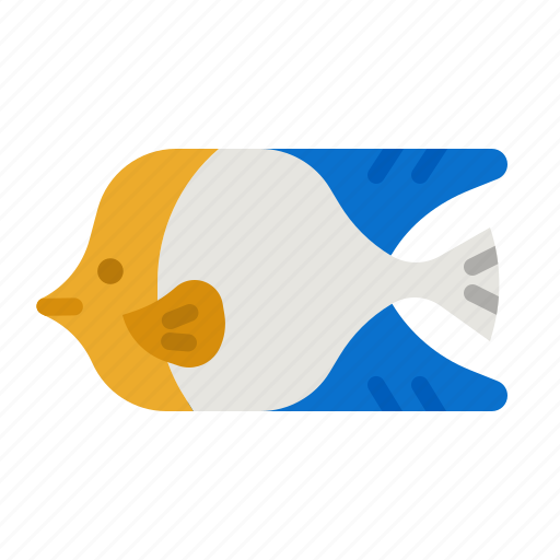Angelfish, aquarium, sea, life, queen icon - Download on Iconfinder