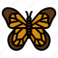 butterfly, animals, zoology, entomology, insect 