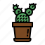 cactus, nature, farming, gardening, botanical 