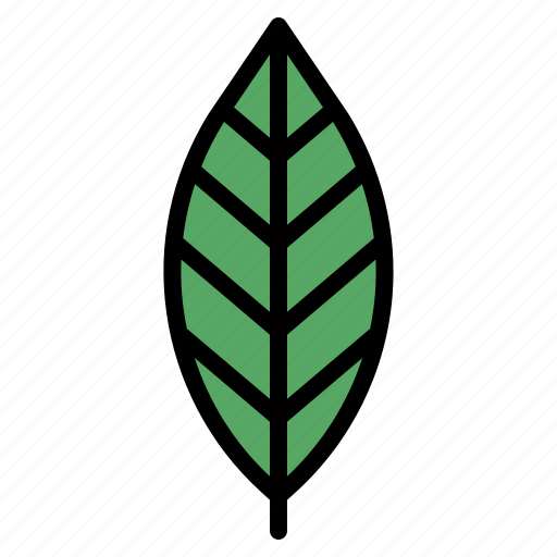 Leaf, plant, garden, leaves, nature icon - Download on Iconfinder