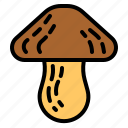 mushroom, fungi, food, restaurant, muscaria