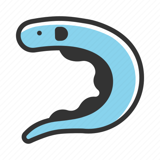 Animal, eel, eels, fish, ocean, sea, snake icon - Download on Iconfinder