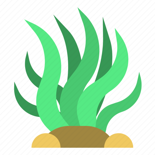 Ocean, seaweed, sea, plant, food icon - Download on Iconfinder