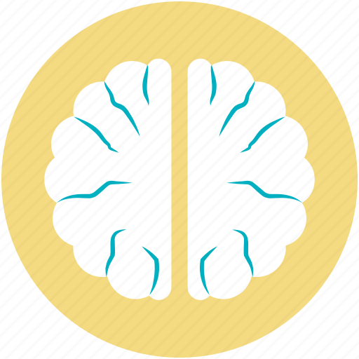 Brain, head, human brain, human head, think symbol icon - Download on Iconfinder