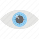 eye monitoring, human eye, look, observing, watch
