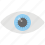 eye monitoring, human eye, look, observing, watch 