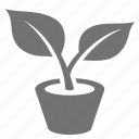 eco, leaf, plant, potted, environment, flower, green