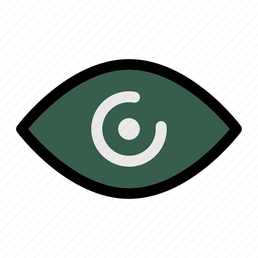 Eye, look, view, viewer, views icon - Download on Iconfinder