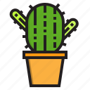 cactus, tool, stationery, office, equipment