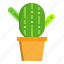 cactus, tool, stationery, office, equipment 