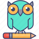 owl, solution, round, education, smart, knowledge, wisdom