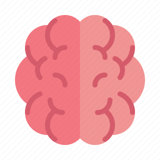 Brain, human, thinking, mind, creative, intelligence, idea icon - Download on Iconfinder