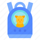backpack, bag, cat, pet, supplies