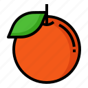 orange, citrus, sour, acidic, fruit