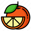 orange, slice, vitamin, c, healthy, mandarin