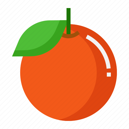 Orange, citrus, sour, acidic, fruit icon - Download on Iconfinder