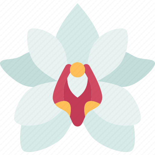 Orchids, cymbidium, flower, petals, houseplant icon - Download on Iconfinder