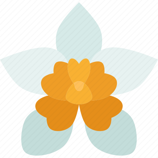 Orchids, dendrobium, thyrsiflorum, flower, wild icon - Download on Iconfinder