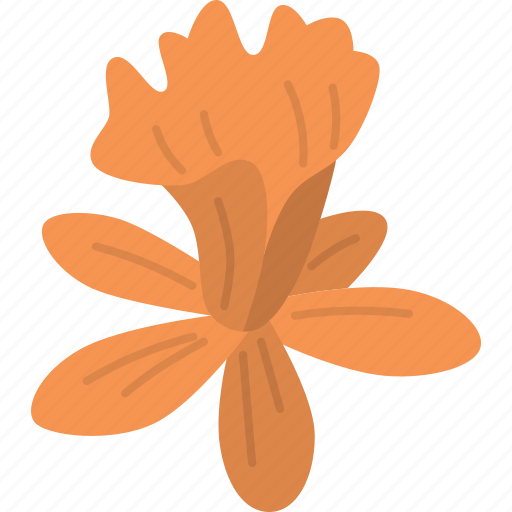 Orchids, epidendrum, flower, petal, botany icon - Download on Iconfinder