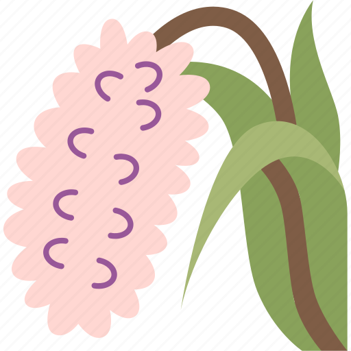 Orchids, foxtail, blooming, botanical, exotic icon - Download on Iconfinder