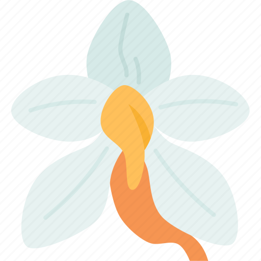 Orchids, ludisia, flower, flora, plant icon - Download on Iconfinder