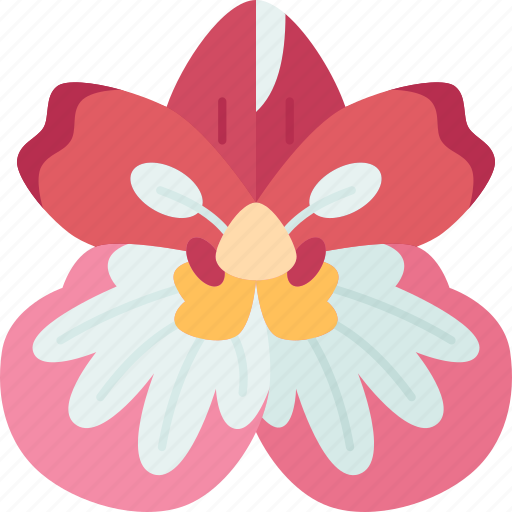 Orchids, miltonia, floral, plant, garden icon - Download on Iconfinder