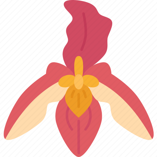 Orchids, phragmipedium, lady, slipper, garden icon - Download on Iconfinder