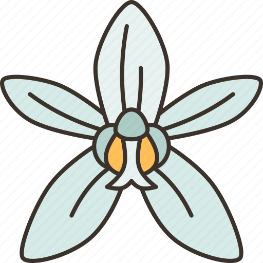 Orchids, coelogyne, wildflower, plant, nature icon - Download on Iconfinder