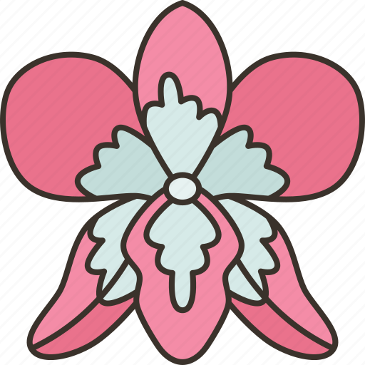 Orchids, dendrobium, floral, blossom, botany icon - Download on Iconfinder