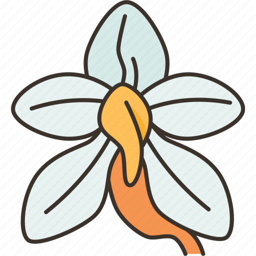 Orchids, ludisia, flower, flora, plant icon - Download on Iconfinder