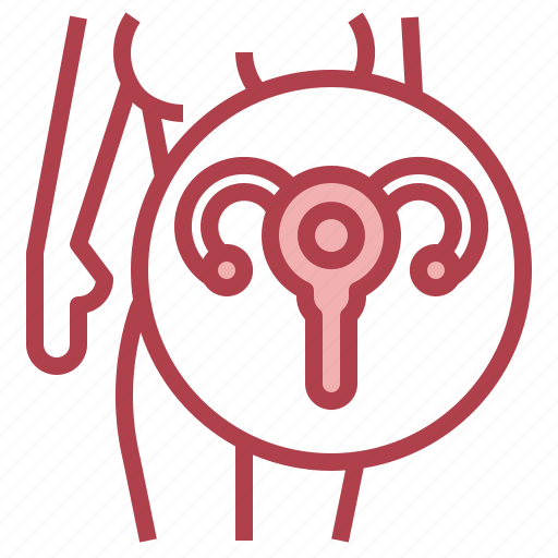 Fallopian, female, organs, reproductive, system, tubes icon - Download on Iconfinder