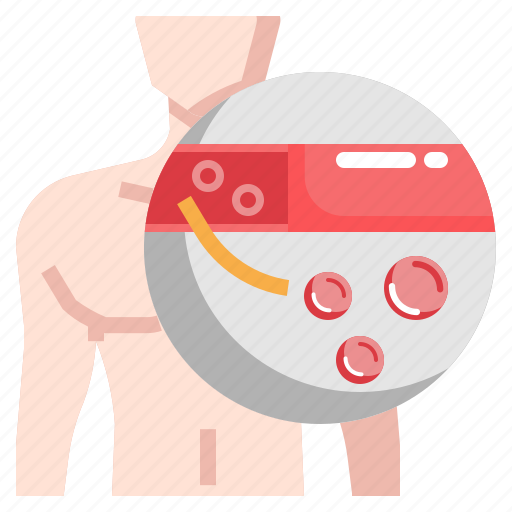Anatomy, blood, body, healthcare, medical, vessel icon - Download on Iconfinder
