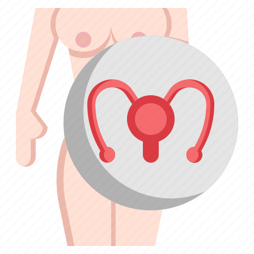 Anatomy, cterus, healthcare, medical, ovaries, reproductive, system icon - Download on Iconfinder