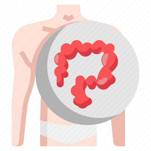 Body, healthcare, human, intestine, large, medical icon - Download on Iconfinder