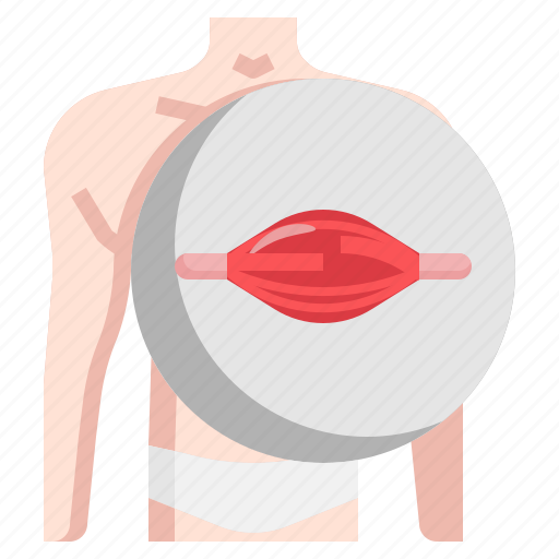 Anatomy, body, coronavirus, human, muscles, part icon - Download on Iconfinder