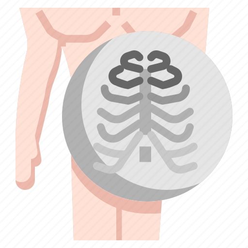 Anatomy, healthcare, medical, rib, skeleton, thorax icon - Download on Iconfinder