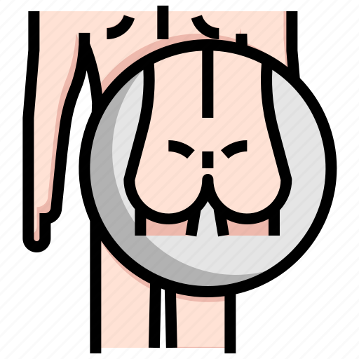 Anatomy, body, bottom, human, parts, thighs icon - Download on Iconfinder