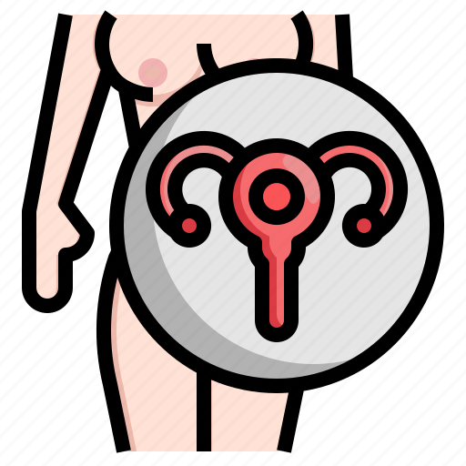 Baby, fallopian, female, kid, organs, reproductive, system icon - Download on Iconfinder