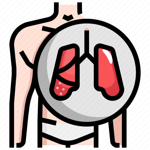 Anatomy, breath, healthcare, lungs, medical icon - Download on Iconfinder