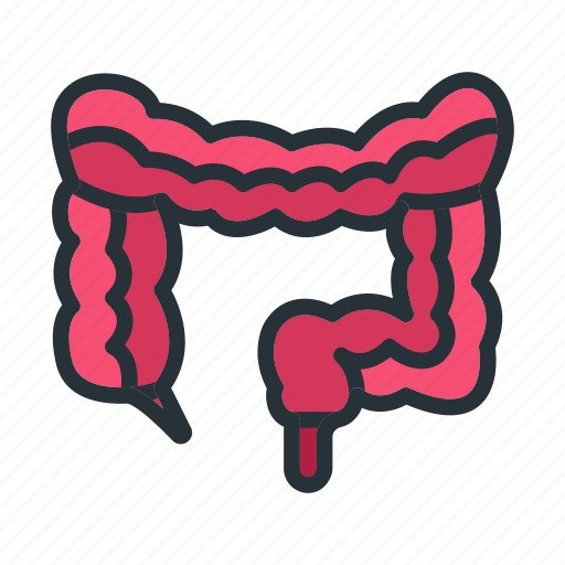 Intestines, organ, healthcare, anatomy, medicine icon - Download on Iconfinder
