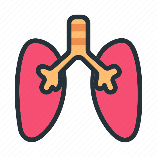 Lungs, organ, medical, anatomy, healthcare icon - Download on Iconfinder