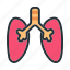 lungs, organ, medical, anatomy, healthcare 