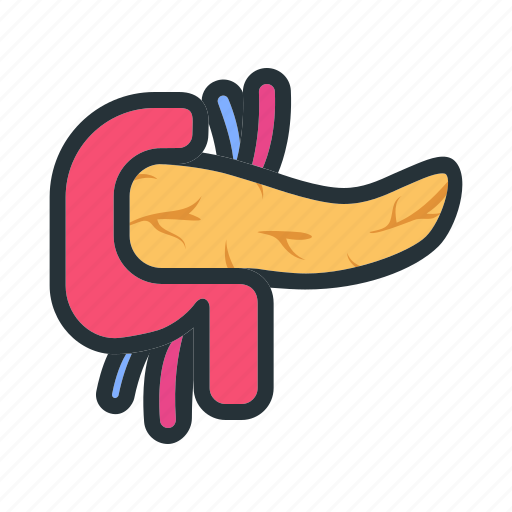 Pancreas, organ, healthcare, anatomy, medicine icon - Download on Iconfinder