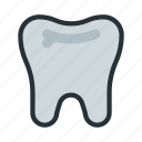 tooth, organ, dentist, dentistry, medicine