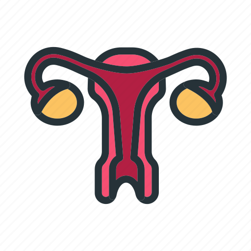 Uterus, organ, healthcare, medicine, anatomy icon - Download on Iconfinder
