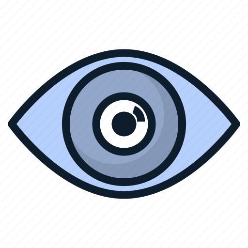 Anatomy, eye, organ, view, vision icon - Download on Iconfinder