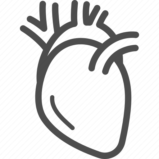 Heart, human, internal, organ icon - Download on Iconfinder